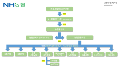 [2025 기업지배구조 분석] 농협금융, 고질적 지배구조 문제 여전…수익·건전성 우려