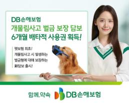 양종희 KB금융 회장 누구나 활용할 데이터 인프라 구축해야