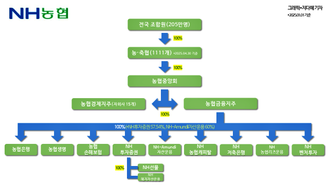 농협금융지주 지배구조 그래픽지다혜 기자