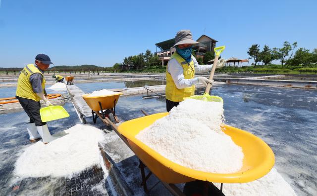 PHOTOS: A season of harvest