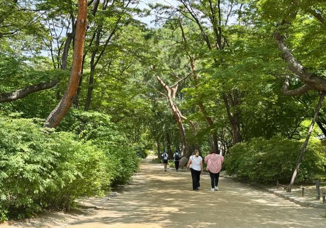 창경궁은 정원이 어우러진 고궁이다 역사와 고요한 자연을 동시에 즐길 수 있다 사진강상헌 기자
