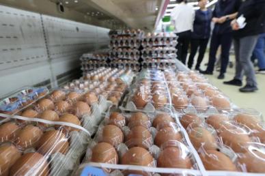 계란 한 판 7000원 산란계협회가 주도했나…공정위 현장조사