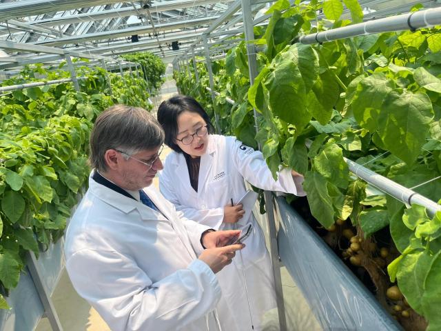 Peru and S. Korea mark International Potato Day in Pyeongchang