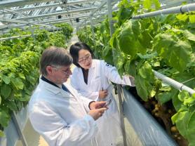 Peru and S. Korea mark International Potato Day in Pyeongchang