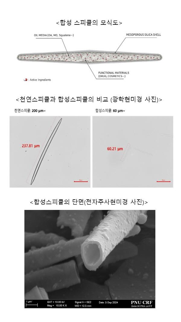 ㅇㅇ