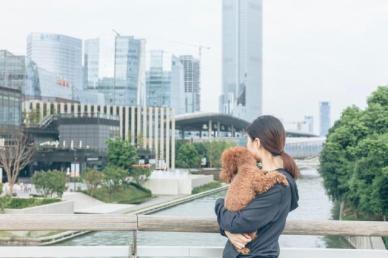 [NNA] 中 펫 소비 확대… 상장기업도 진출 가속화