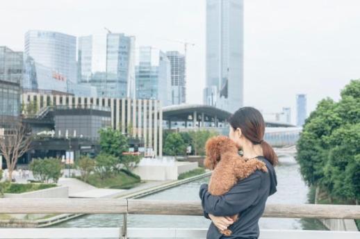 [NNA] 中 펫 소비 확대… 상장기업도 진출 가속화
