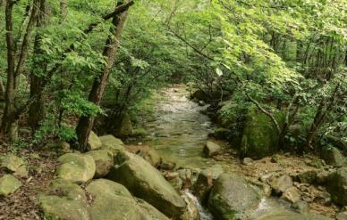 호우 예비특보만 발령돼도 국립공원 탐방로 통제 
