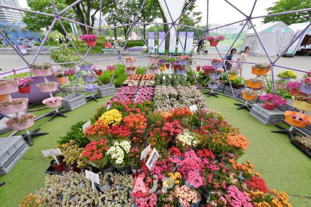 Seoul international garden show 2025 at Boramae park in Seoul June 9 2025 AJP Han Jun-gu