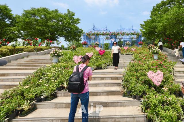A visitor poses for a photo at Seoul international garden show 2025 Boramae Park Seoul Jun 9 2025 AJP Han Jun-gu