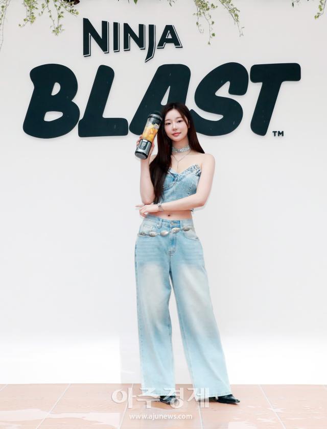 사진샤크닌자
