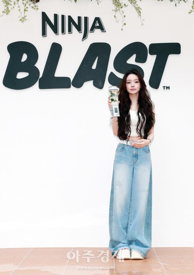 사진샤크닌자