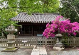 韩国古建筑观月堂时隔百年重返祖国