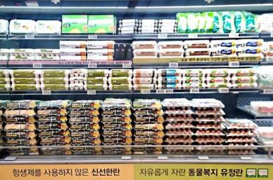 계란 한판 6990원 이랜드킴스클럽, 내일부터 6000판 한정 판매