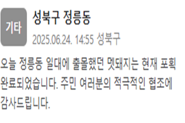 서울 성북구에 나타난 멧돼지가 포획됐다 사진성북구청 재난문자
