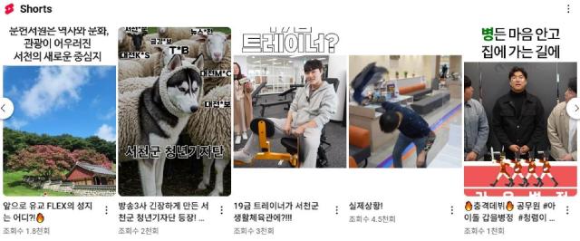 전국최초 AI 홍보조례 전면 시행 공공홍보의 혁신 모델사진서천군