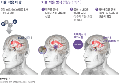 [김해소식]김해의생명산업진흥원, 67개사에 18억 지원 外