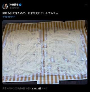 [재팬 룸] "쌀 말렸어요" 개그맨 한마디에 日 누리꾼 술렁…이유는?