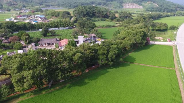 삼태마을숲 항공촬영 전경 사진국가유산청