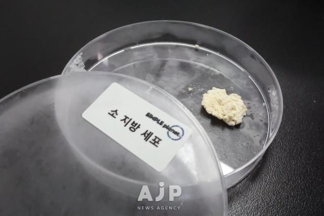 Cultivated cow fat cells from Simple Planet on a petri dish June 24 2025 AJP Han Jun-gu