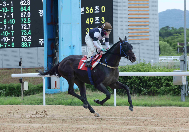 스피드영24년6월30일 오너스컵 우승모습사진렛츠런파크 부산경남