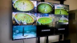 [ASIA Biz] 물고기 표정 읽는 AI 中스마트농업 연구 최전선 기지