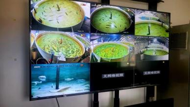 [ASIA Biz] "물고기 표정 읽는 AI" 中스마트농업 연구 최전선 기지