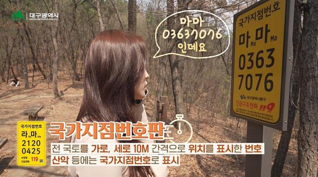 대구시는 한국전력 산림청 등 관계기관과 협력해 국가 지점번호판 설치를 시작했다 사진대구시