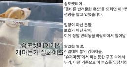 [속보] 지귀연 술 접대 의혹 사실 아냐…공정·신속 재판 매진