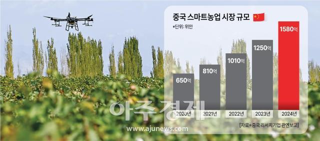 베테랑 농부와 AI의 대결...中스마트농업의 실험