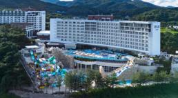 김해·용인·파주, 프로축구 K리그 가입 신청서 제출