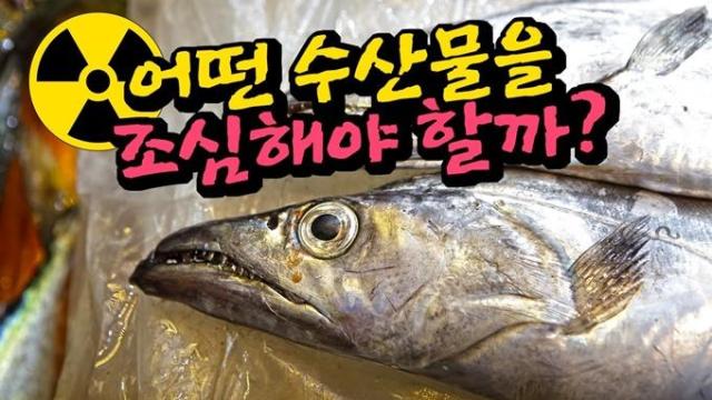 사진유튜브 채널 입질의추억TV jiminTV 캡처 