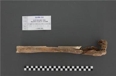 6·25전쟁 참전 고 김석오 하사, 72년 만에 가족 품으로