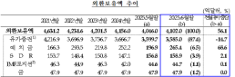 6월 외환보유액 56억 달러 증가한 4102억 달러…석 달 만에 반등