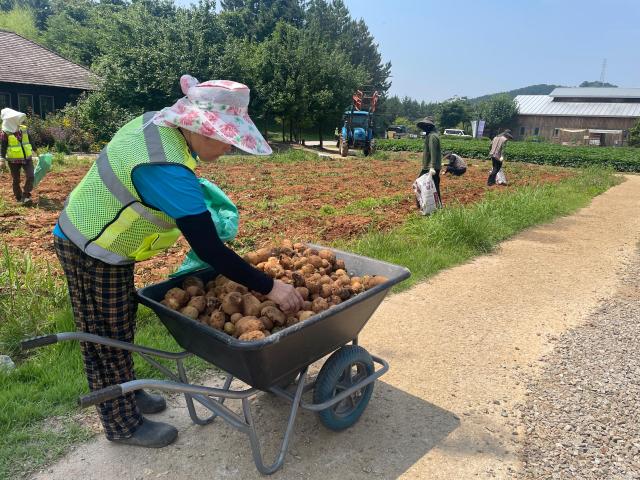 【摄影 记者 陈姗娜】