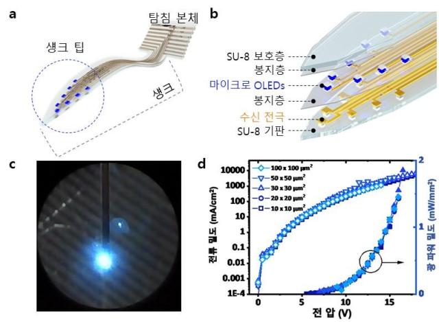 KAIST researchers develop flexible micro-OLED brain implant for precision neural treatment