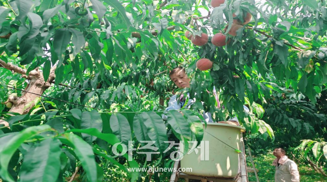 사진중국산동망