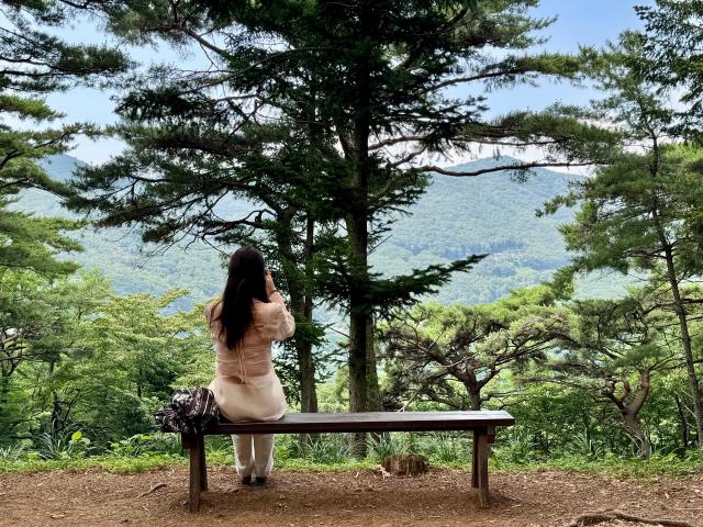 부산 아홉산숲은 자연 본연의 모습을 간직한 숲이다 사진강상헌 기자
