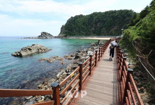 TRAVEL: Koreas coastal fan trail, where land meets sea