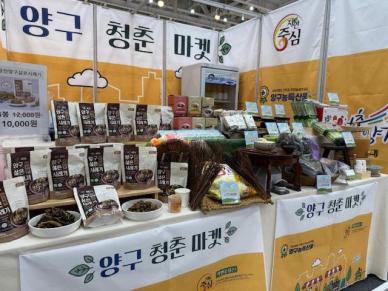 양구군, 2025 팔도 밥상 페어에서 큰 호응