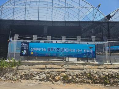 여수 민간기업 갱본, 잘피 180만 개 대량 생산 성공