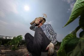 Power demand hits July record, prompting emergency measures