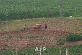 Glimpse into daily life in North Korea from across the Amnok River