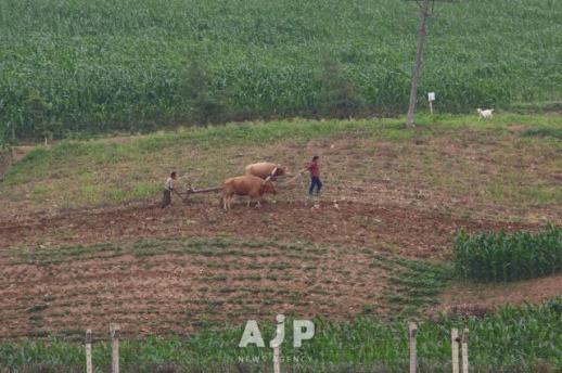 TRAVEL: Glimpse into daily life in North Korea from across the Amnok River