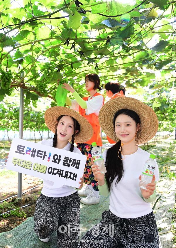 사진코카-콜라