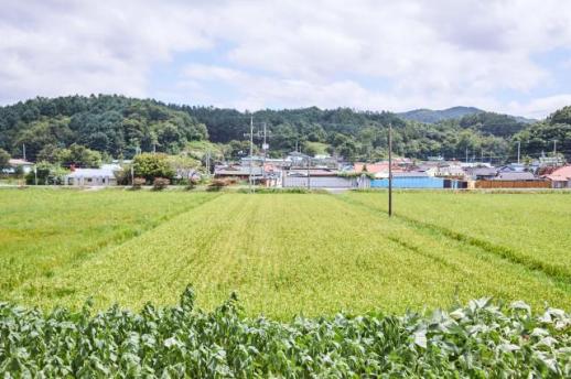 韩国地主近四成 有地家庭首破1500万户