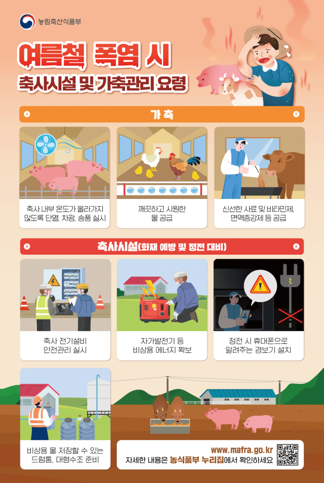 역대급 폭염에 가축 53만마리 폐사…정부 피해 대응 TF 가동