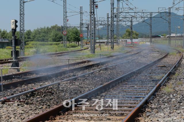 사진유대길 기자 dbeorlf123ajunewscom