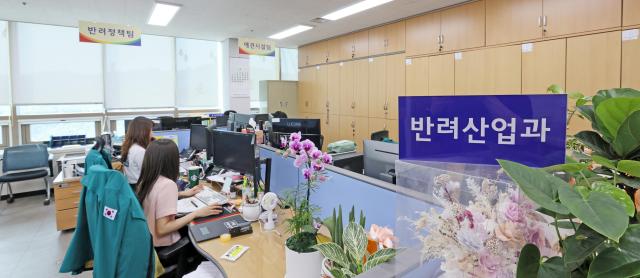 사진임실군