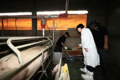 축산 농가 찾은 송미령 적정 온도 유지 위해 냉풍기 가동해달라